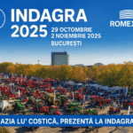 Magazia lu Costica Indagra