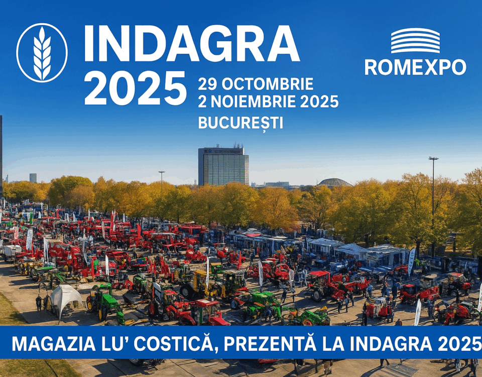 Magazia lu Costica Indagra